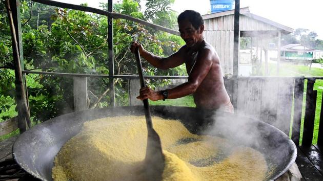 Edmar Santos produces cassava flour at the Repartimento Community in the banks of the Tambaqui River in the Amanã Reserve. One fundamental aspect of Providence is to work side by side with the indigenous communities as they are the true guardians of the Amazon. The ambitious project has been divided into three phases. In phase one, which occurred in Mamiraua, 10 nodes were distributed in different areas to check that the system was able to work in very harsh conditions. (Evaristo Sa / AFP) Edmar Santos produces cassava flour at the Repartimento Community in the banks of the Tambaqui River in the Amanã Reserve. One fundamental aspect of Providence is to work side by side with the indigenous communities as they are the true guardians of the Amazon. The ambitious project has been divided into three phases. In phase one, which occurred in Mamiraua, 10 nodes were distributed in different areas to check that the system was able to work in very harsh conditions. (Evaristo Sa / AFP)
