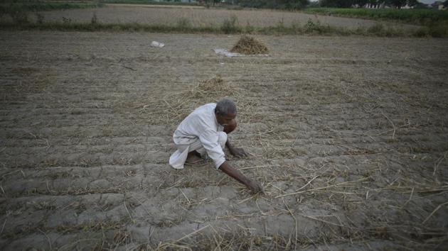 Rural wages barely rose during 2018-19, stoking a slowdown in demand, consumption and corporate earnings. Real or inflation-adjusted agricultural wages grew 2% in February, compared to a 1.5% the previous month. Similarly, growth in real non-farm wages has been weak. They grew 1.4% in February, compared to 2% the previous month according to several consumer product firms. (Biplov Bhuyan / HT File) Rural wages barely rose during 2018-19, stoking a slowdown in demand, consumption and corporate earnings. Real or inflation-adjusted agricultural wages grew 2% in February, compared to a 1.5% the previous month. Similarly, growth in real non-farm wages has been weak. They grew 1.4% in February, compared to 2% the previous month according to several consumer product firms. (Biplov Bhuyan / HT File)