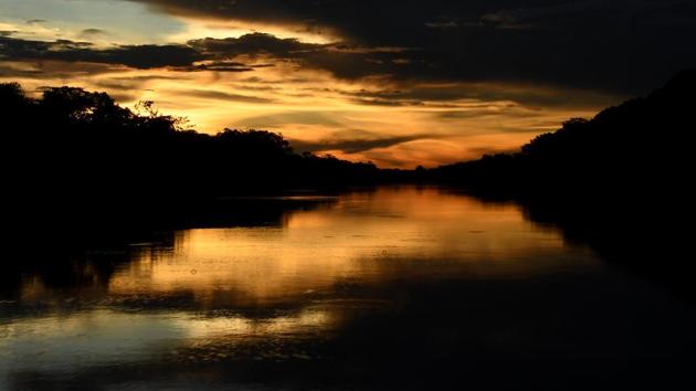 The Mamiraua River is seen at the Mamiraua Reserve.. In an attempt to collect the images and sounds of the Amazon rainforest’s biodiversity to track preservation efforts, scientists are deploying ultra-sensitive sensors. The initiative, called the Providence Project, was launched two years ago and aims to propel the conservation efforts in the forest. (Evaristo Sa / AFP) The Mamiraua River is seen at the Mamiraua Reserve.. In an attempt to collect the images and sounds of the Amazon rainforest’s biodiversity to track preservation efforts, scientists are deploying ultra-sensitive sensors. The initiative, called the Providence Project, was launched two years ago and aims to propel the conservation efforts in the forest. (Evaristo Sa / AFP)