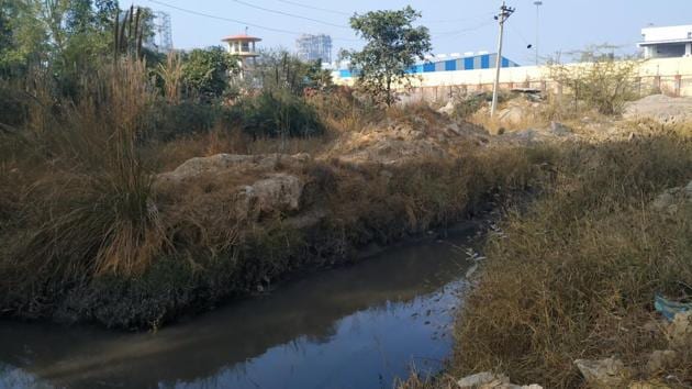 Villagers from the vicinity of the IOCL’s Panipat refinery had taken up the issue pf pollution with the NGT last year. (HT Photo) Villagers from the vicinity of the IOCL’s Panipat refinery had taken up the issue pf pollution with the NGT last year. (HT Photo)