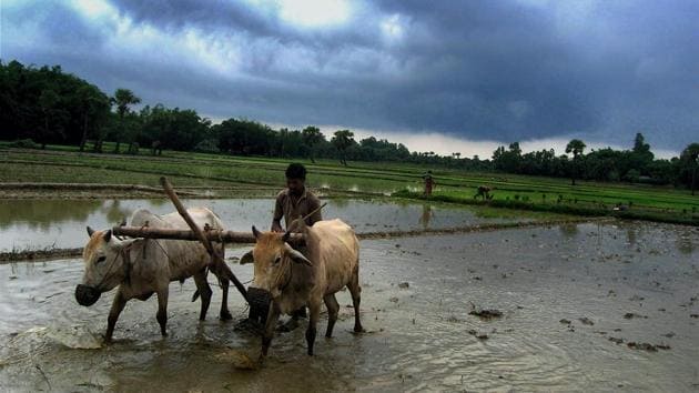 Monsoon rains are likely to enter India through the southern coast on June 6(PTI)