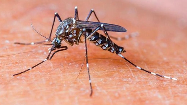 n 2018, 2,798 dengue cases and four related deaths were recorded by the South Delhi Municipal Corporation (SDMC), which tabulates data on vector-borne diseases for the entire city. (HT Photo) n 2018, 2,798 dengue cases and four related deaths were recorded by the South Delhi Municipal Corporation (SDMC), which tabulates data on vector-borne diseases for the entire city. (HT Photo)