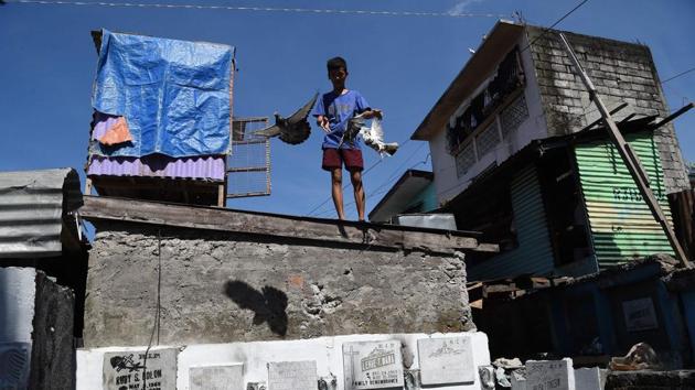 A 15-year-old aspiring pigeon fancier Christopher Sibug trains his pigeons at home inside a cemetery in Manila. The competition can be a tough challenge for the birds and a tense affair for the owners. (Ted Aljibe / AFP) A 15-year-old aspiring pigeon fancier Christopher Sibug trains his pigeons at home inside a cemetery in Manila. The competition can be a tough challenge for the birds and a tense affair for the owners. (Ted Aljibe / AFP)