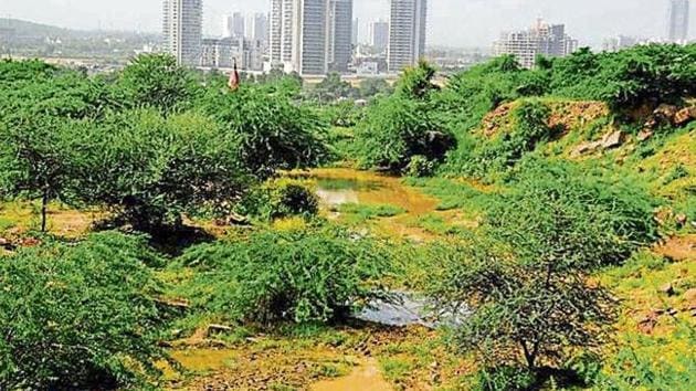 The 350-acre Ghata Jheel, once among the biggest natural water bodies of Gurugram, has now largely dried up because of haphazard land-use change—a key feature of country’s burgeoning urban crisis.(HTPhotos) The 350-acre Ghata Jheel, once among the biggest natural water bodies of Gurugram, has now largely dried up because of haphazard land-use change—a key feature of country’s burgeoning urban crisis.(HTPhotos)