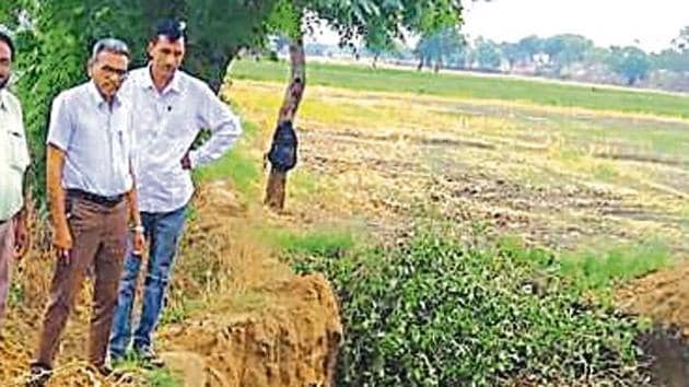 Team under the leadership of district horticulture officer (DHO) of Fatehabad on Friday, destroyed and uprooted the plants of genetically modified (GM) or other BT Brinjal in dhani (cluster of houses) near Ratia town of this district.(HTPhotos)