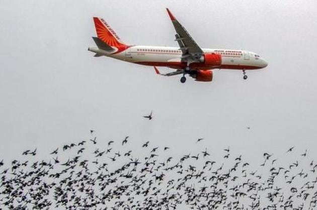 According to a complaint filed by the woman pilot, the alleged incident took place in Hyderabad, where she was being trained by the commander pilot.(PTI File Photo) According to a complaint filed by the woman pilot, the alleged incident took place in Hyderabad, where she was being trained by the commander pilot.(PTI File Photo)