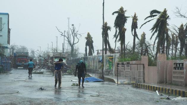 In Puri district, 11.59 lakh coconut trees were damaged. As many as 1.96 lakh were uprooted in Khurdha district. In Jajpur district, 14,910 coconut trees fell.(Arabinda Mahapatra / Hindustan Times)