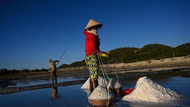 Many people in the sleepy seaside town of Hon Khoi in Khanh Hoa province have worked much of their lives in the salt fields -- an Instagram hotspot where workers wearing conical hats ferry mountains of the saline crystals in bamboo baskets along reflective ponds against a setting sun. (Manan Vatsyayana / AFP) Many people in the sleepy seaside town of Hon Khoi in Khanh Hoa province have worked much of their lives in the salt fields -- an Instagram hotspot where workers wearing conical hats ferry mountains of the saline crystals in bamboo baskets along reflective ponds against a setting sun. (Manan Vatsyayana / AFP)