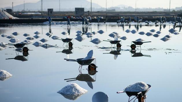 Vietnam produced about one million tonnes of salt in 2015, according to the latest official data, and often clocks surpluses, but it still ships salt in, mostly from China and India. The country imported 500,000 tonnes of the mineral in 2017 despite a 147,000-tonne surplus of domestic production. (Manan Vatsyayana / AFP) Vietnam produced about one million tonnes of salt in 2015, according to the latest official data, and often clocks surpluses, but it still ships salt in, mostly from China and India. The country imported 500,000 tonnes of the mineral in 2017 despite a 147,000-tonne surplus of domestic production. (Manan Vatsyayana / AFP)