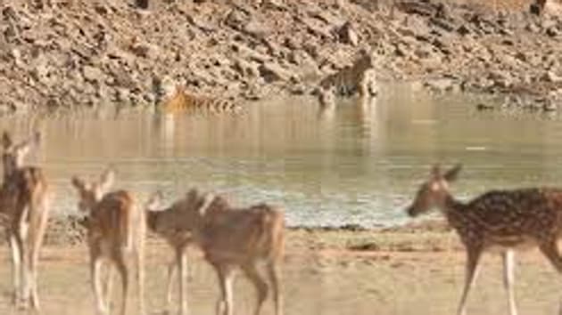 Plea To Who Don T Approve Traditional Chinese Medicine Mumbai News Hindustan Times