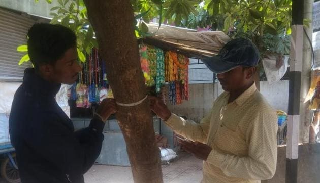 Surveyors using geo-tagging technology to conduct the tree census.(HT Photo)