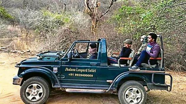 The census reveals there are 28 leopards in the Jhalana forests. (HT File) The census reveals there are 28 leopards in the Jhalana forests. (HT File)