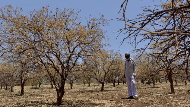 While the India Meteorological Department last week predicted 22% deficiency in pre-monsoon showers between March and May, a large number of anti-drought projects related to water harvesting and micro irrigation that are taken up in many states under the Mahatma Gandhi National Rural Employment Guarantee Scheme (MGNREGS) either remain incomplete or have been abandoned, government data shows. (Satish Bate / HT Archive) 