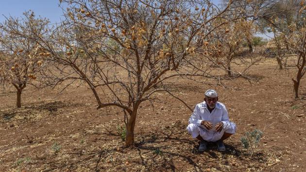 The data also shows that there is little focus on anti-drought measures, including water conservation, revival of traditional water bodies, plantations and micro irrigation works, despite grim forecasts by meteorologists. (Photo by Satish Bate/ Hindustan Times)