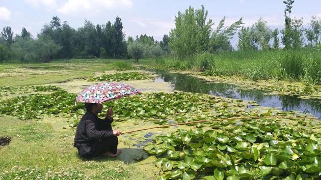 A Kashmiri man fishes under the shade of an umbrella in the backwaters of the Dal Lake in Srinagar, Jammu and Kashmir. (Waseem Andrabi / HT Photo) A Kashmiri man fishes under the shade of an umbrella in the backwaters of the Dal Lake in Srinagar, Jammu and Kashmir. (Waseem Andrabi / HT Photo)