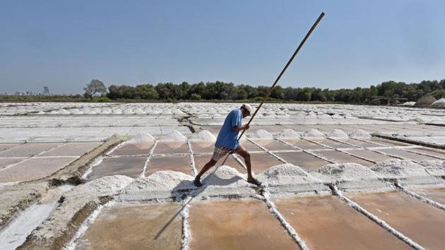 A worker racks salt at a salt pan at Bhayandar in Mumbai, Maharashtra. (Satyabrata Tripathy / HT Photo) A worker racks salt at a salt pan at Bhayandar in Mumbai, Maharashtra. (Satyabrata Tripathy / HT Photo)
