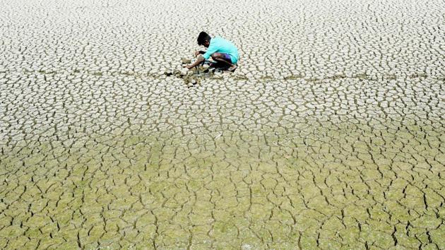 A youth scouts around for mud crabs and snakehead fish as he walks on the parched bed of Chembarambakkam lake on the outskirts of Chennai. Water levels in the four main reservoirs in Chennai has fallen to one of their lowest levels in 70 years, with the current levels amounting to only 1.3 percent of full capacity. (Arun Sankar / AFP) A youth scouts around for mud crabs and snakehead fish as he walks on the parched bed of Chembarambakkam lake on the outskirts of Chennai. Water levels in the four main reservoirs in Chennai has fallen to one of their lowest levels in 70 years, with the current levels amounting to only 1.3 percent of full capacity. (Arun Sankar / AFP)