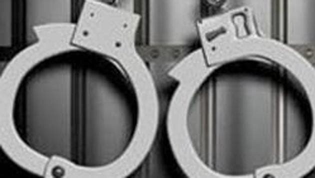 2 held for selling meat to Madhya Pradesh ‘beef’ assault victims(HT File)