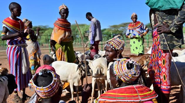 Samburu tribeswomen gather their goats to sell in Marsabit county. “You might go a long distance, and they die on the way... It is a very hard life,” Kaltuma Hassan, 42, told AFP. Today, she relies on detailed rainfall forecasts received via text message from a Kenyan tech firm to plan migrations, a simple but life-changing resource for an ancient community learning to adapt to increasing weather extremes. (Tony Karumba / AFP) Samburu tribeswomen gather their goats to sell in Marsabit county. “You might go a long distance, and they die on the way... It is a very hard life,” Kaltuma Hassan, 42, told AFP. Today, she relies on detailed rainfall forecasts received via text message from a Kenyan tech firm to plan migrations, a simple but life-changing resource for an ancient community learning to adapt to increasing weather extremes. (Tony Karumba / AFP)