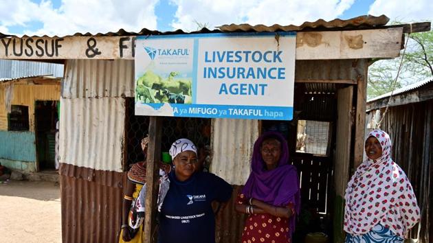 Hadija Lenguyo (2nd L), livestock insurance agent, outside her kiosk in Merille. Helima Osman Bidu, one traditional herder and mother-of-three, has joined a women’s collective that invests in non-livestock related enterprises, another approach to drought-proofing the family finances. “It is good to have something on the side,” she told AFP, nodding to a padlocked metal box containing the group’s seed money. (Tony Karumba / AFP) Hadija Lenguyo (2nd L), livestock insurance agent, outside her kiosk in Merille. Helima Osman Bidu, one traditional herder and mother-of-three, has joined a women’s collective that invests in non-livestock related enterprises, another approach to drought-proofing the family finances. “It is good to have something on the side,” she told AFP, nodding to a padlocked metal box containing the group’s seed money. (Tony Karumba / AFP)