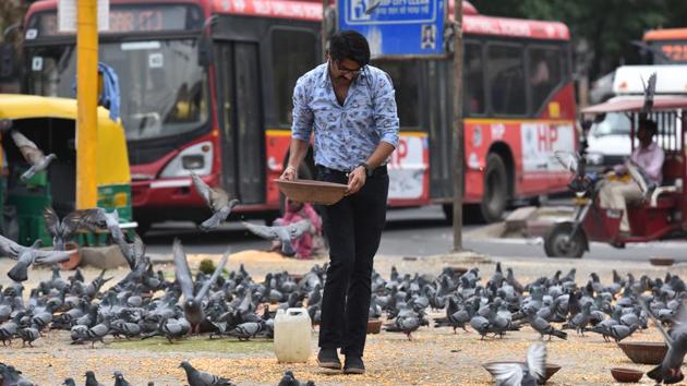 A man feeds pigeons on a roadside, at Jhandewalan, in New Delhi. Prakash Dikshit, 70, a resident of Mayur Vihar said “I make it a point that the bowls are never empty. I fill them with fresh water in the morning and change the water couple of times during the day as well. We should all ensure that birds do not die of dehydration; the summer can be deadly for the animals and birds in the city.” (Sanchit Khanna / HT Photo)