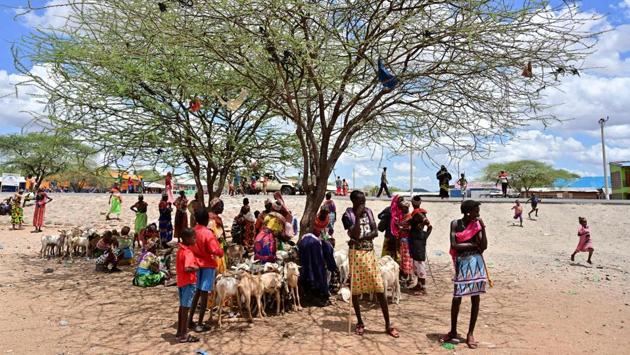 Samburu tribespeople shelter in the shade of an acacia at a livestock market. For generations, clans would study the sky over Kenya’s arid north for any sign of rain to guide their livestock to water. But divination has been rendered hopeless by intensifying droughts. Days on foot can reveal nothing more than bone-dry riverbeds and grazing land baked to dust, sounding the death knell for herds. (Tony Karumba / AFP) Samburu tribespeople shelter in the shade of an acacia at a livestock market. For generations, clans would study the sky over Kenya’s arid north for any sign of rain to guide their livestock to water. But divination has been rendered hopeless by intensifying droughts. Days on foot can reveal nothing more than bone-dry riverbeds and grazing land baked to dust, sounding the death knell for herds. (Tony Karumba / AFP)