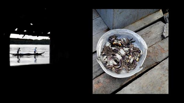 Jose doesn’t use a rod and reel or a net to catch crabs; instead he parks his two-foot-wide boat at the shore of the Caratingui river and takes off on foot. Usually he captures four or five dozen crabs in a day which fetch him about 200 reais ($50) per week. (Nacho Doce / REUTERS) 
