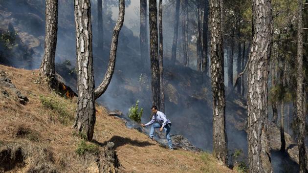 A forest personnel uses leafy branches to remove dried pine needles from the forest floor to contain a fire near Totarani village in the foothills of the Himalaya in Dharmsala, Himachal Pradesh. (Ashwini Bhatia / AP) A forest personnel uses leafy branches to remove dried pine needles from the forest floor to contain a fire near Totarani village in the foothills of the Himalaya in Dharmsala, Himachal Pradesh. (Ashwini Bhatia / AP)