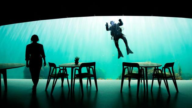 “The guests are on an adventure. They are exploring the nature themselves, because this is not an aquarium. “The fish might look at us as an aquarium because what’s happening outside here is under natural control,” Rafoss said. “You will never be disappointed, nature is never disappointing.” (Jonathan Nackstrand / AFP)