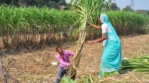 Pune district recorded 81 per cent deficit in pre-monsoon rainfall from March 1 to May 1, according to India Meteorological Department. (HT FILE) Pune district recorded 81 per cent deficit in pre-monsoon rainfall from March 1 to May 1, according to India Meteorological Department. (HT FILE)