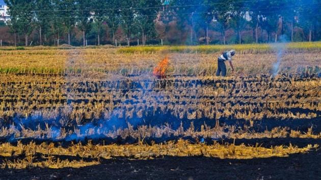 This season, the highest number of cases — 1,051 — was reported in Karnal, followed by 740 in Sonipat, 730 in Jind, 603 in Panipat and 580 in Kaithal. In Gurugram, active burning was reported on 71 instances. (HT File photo) This season, the highest number of cases — 1,051 — was reported in Karnal, followed by 740 in Sonipat, 730 in Jind, 603 in Panipat and 580 in Kaithal. In Gurugram, active burning was reported on 71 instances. (HT File photo)