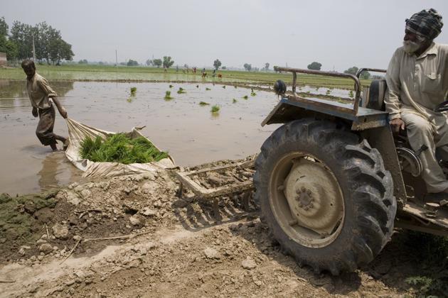 Punjab stares at a parched future, to run out of groundwater in 20 years. According to a 2017 study by the Central Ground Water Board of the Ministry of Water Resources, 10 districts are the worst affected, including Bathinda, Hoshiarpur, Jalandhar, Moga, Pathankot, and Patiala. There, the fall is most acute, at nearly one metre a year. (HT Archive)