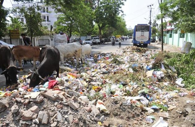 Garbage dump on a road at Aliganj, Lucknow. (Deepak Gupta/HT Photo) Garbage dump on a road at Aliganj, Lucknow. (Deepak Gupta/HT Photo)