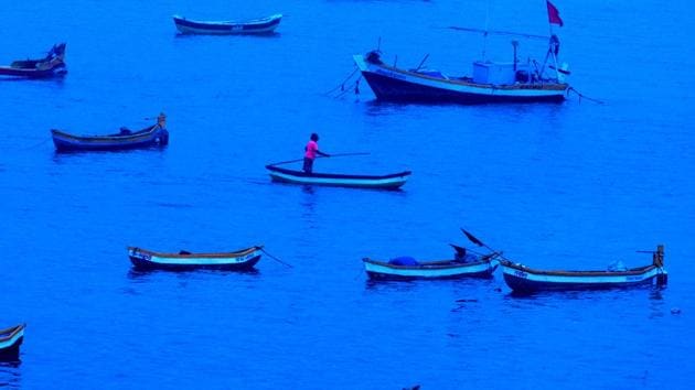 To lower juvenile bycatch, Tarun Shridhar, secretary, department of animal husbandry, dairying and fisheries, issued an advisory in February, directing all coastal states to implement a minimum legal size for catching, landing and trade of fish.(Satish Bate/HT Photo)