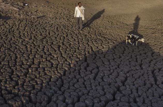 The dried up Bendsura Dam near Bheed in Marathwada.(Satish Bate/ Hindustan Times) The dried up Bendsura Dam near Bheed in Marathwada.(Satish Bate/ Hindustan Times)
