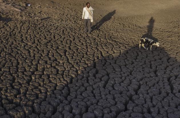 The dried up Bendsura Dam near Bheed in Marathwada.(Satish Bate/ Hindustan Times)