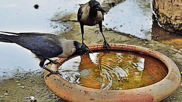 In large areas, a heatwave is declared when the mercury touches the 45-degree Celsius mark for two consecutive days and a severe heatwave is when the temperature soars to 47 degrees Celsius for two days on the trot. (Sushil Kumar/HT photo) In large areas, a heatwave is declared when the mercury touches the 45-degree Celsius mark for two consecutive days and a severe heatwave is when the temperature soars to 47 degrees Celsius for two days on the trot. (Sushil Kumar/HT photo)