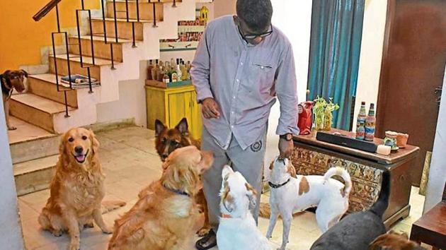 A man seen at a home stay for dogs, at Palam Vihar, Sector 23, in Gurugram.(Yogesh Kumar/Hindustan Times)