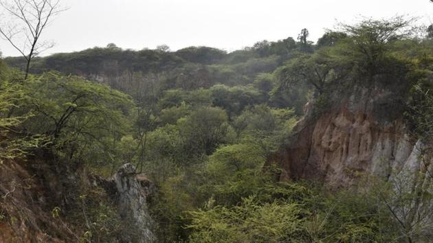 The Aravallis are even older than the Himalayas in terms of geological time. As per high-resolution satellite imagery records of 2013, the Aravalli hills in Gurugram district occupy an area of 11,256 hectares. (Sanchit Khanna/HT PHOTO) The Aravallis are even older than the Himalayas in terms of geological time. As per high-resolution satellite imagery records of 2013, the Aravalli hills in Gurugram district occupy an area of 11,256 hectares. (Sanchit Khanna/HT PHOTO)