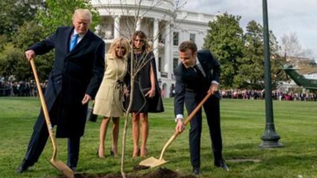 The sapling, a gift from Macron on the occasion of his state visit, is gone from the lawn.(AP Photo)