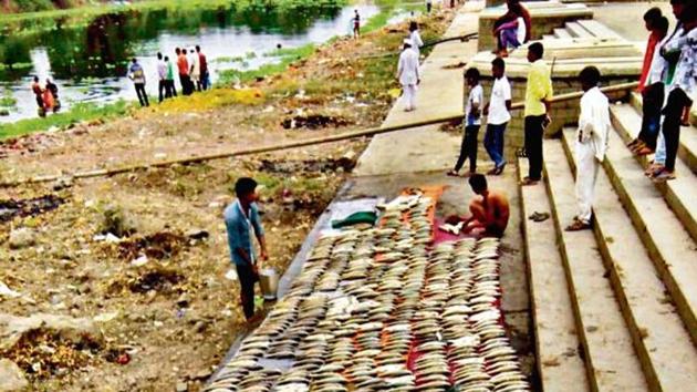 Thousands of freshwater fish have suddenly found died in Indrayani river due to the soaring pollution level in Indrayani river in Pune.(HT PHOTO)