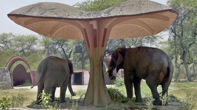 Elephants take shelter in to beat the heat on a summer day, at National Zoological Park, in New Delhi. Experts say birds and animals are affected the most in areas where the green cover is scarce. While south Delhi and New Delhi have 33% and 46% forest cover, respectively, north-west Delhi and west Delhi have a meagre 4% and 5% forest cover, respectively. (Sushil Kumar / HT PHOTO) Elephants take shelter in to beat the heat on a summer day, at National Zoological Park, in New Delhi. Experts say birds and animals are affected the most in areas where the green cover is scarce. While south Delhi and New Delhi have 33% and 46% forest cover, respectively, north-west Delhi and west Delhi have a meagre 4% and 5% forest cover, respectively. (Sushil Kumar / HT PHOTO)