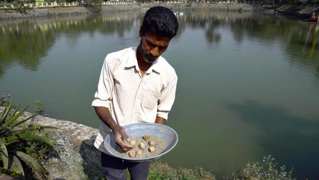 Caretaker of temple pond Pranab Malakar checks turtle eggs after collecting them from the bank of a pond. In January his organisation’s first batch of 35 turtle hatchlings, including 16 black softshells hand-reared at the temple, was released into a nearby wildlife sanctuary. “No one harms them here as they are incarnations of Lord Vishnu (a Hindu deity). I was born and grew up here. We have been seeing the turtles since our childhood. People respect them,” he said. (Biju Boro / AFP) Caretaker of temple pond Pranab Malakar checks turtle eggs after collecting them from the bank of a pond. In January his organisation’s first batch of 35 turtle hatchlings, including 16 black softshells hand-reared at the temple, was released into a nearby wildlife sanctuary. “No one harms them here as they are incarnations of Lord Vishnu (a Hindu deity). I was born and grew up here. We have been seeing the turtles since our childhood. People respect them,” he said. (Biju Boro / AFP)