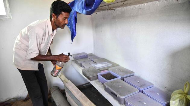 The northeastern state of Assam was once rich in freshwater turtles, but habitat loss and overexploitation -- they were once a popular local food -- have massively depleted their population. (Biju Boro / AFP) The northeastern state of Assam was once rich in freshwater turtles, but habitat loss and overexploitation -- they were once a popular local food -- have massively depleted their population. (Biju Boro / AFP)
