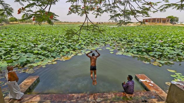 A man dives into a pond to get respite from the scorching heat on a hot summer day, at Mundia village in Tonk District of Rajasthan. A Meteorological (Met) Department official said that severe heatwave conditions persisted in parts of Rajasthan on Monday, with Churu being the hottest place in the state where the mercury touched 50.3 degrees Celsius. (PTI) A man dives into a pond to get respite from the scorching heat on a hot summer day, at Mundia village in Tonk District of Rajasthan. A Meteorological (Met) Department official said that severe heatwave conditions persisted in parts of Rajasthan on Monday, with Churu being the hottest place in the state where the mercury touched 50.3 degrees Celsius. (PTI)