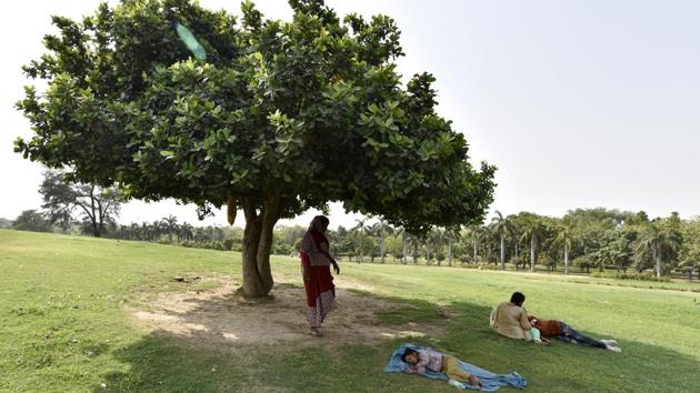 Trees and shelters for sitting or waiting are also essential to make moving around public spaces more hospitable. (Sanjeev Verma/HT PHOTO) Trees and shelters for sitting or waiting are also essential to make moving around public spaces more hospitable. (Sanjeev Verma/HT PHOTO)