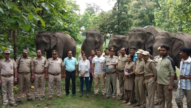 RK Tiwari, sub-divisional forest officer (SDO) Kalagarh said the instructions had been issued by principal chief conservator of forests (PCCF) Jai Raj, who visited the elephant shelter in Kalagarh on Thursday.(HT PHOTO)