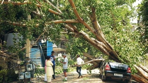 A damaged car and electricity poles after a large Peepal tree fell during a dust storm on Wednesday evening, in Sushant Lok-1 Block-C, in Gurugram, India, on Thursday, June 13, 2019. ((Photo by Parveen Kumar/Hindustan Times)) A damaged car and electricity poles after a large Peepal tree fell during a dust storm on Wednesday evening, in Sushant Lok-1 Block-C, in Gurugram, India, on Thursday, June 13, 2019. ((Photo by Parveen Kumar/Hindustan Times))