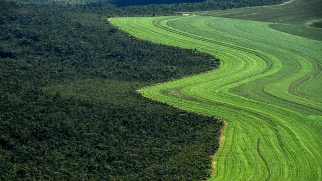An aerial view of an agriculture field next to a native Cerrado (savanna) in Formosa do Rio Preto, western Bahia state, Brazil. (Nelson Almeida / AFP)