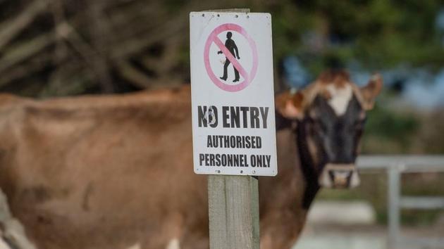 A warning sign at Townshend Farm. Before the law changed, police could only charge rustlers with a property crime called “theft of animals” and it was only considered an offence if the animal was killed. (Marty Melville / AFP) A warning sign at Townshend Farm. Before the law changed, police could only charge rustlers with a property crime called “theft of animals” and it was only considered an offence if the animal was killed. (Marty Melville / AFP)